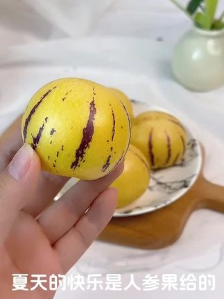 石林果树上熟黄肉人参圆果清甜多汁皮薄应季水果 #石林人参果 #黄肉圆果 #清甜多汁 #应季水果