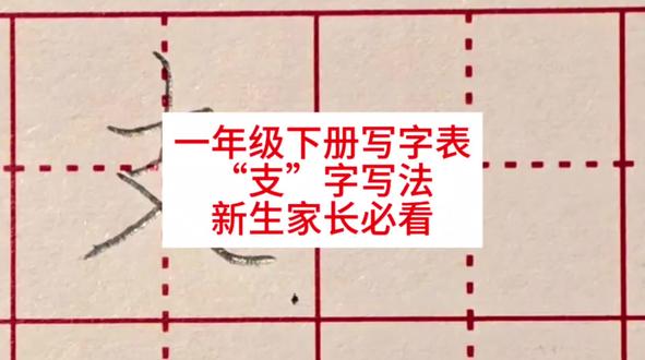 一年级下册,支字写法,学会就能教娃!#书写技巧 #练字技巧 #一年级语文下册 #一年级