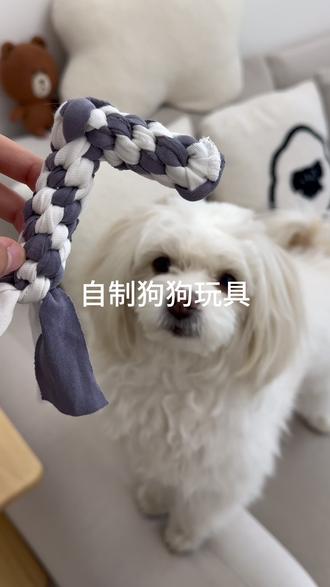 自制狗狗玩具47|旧衣改造🐶回旋镖🪃 旧衣改造 宠物玩具制作全过程!用有主人气味的旧衣服做成的玩具 狗狗会特别喜欢!#自制狗狗玩具 #宠物玩具 #狗狗玩具 #旧衣改造 #新手养狗