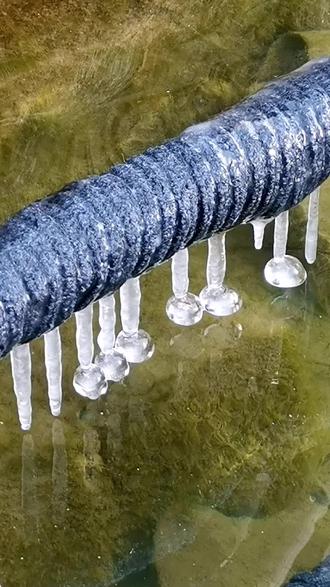 2026.1.19 新年第一场雪后第二天,颐和园南如意门冬泳打卡,感谢军哥辛苦拍摄#冬泳人 #公开水域游泳 #下雪啦#颐和园南如意门