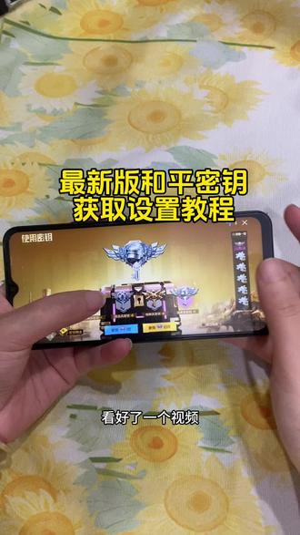 和平精英密钥透保姆级获取安装教程来了 #密钥透#密钥透下载教程 #密钥透苹果 #密钥透ios 密钥透文件