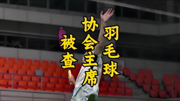 羽毛球协会主席被查 #新闻 #热点 #羽毛球 #违纪 #热门