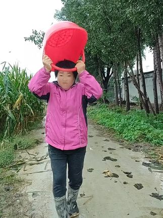 农用手提大篮子,结实耐用随手 二姐百货,姐妹们喜欢咱这款蓝子的点击小黄车