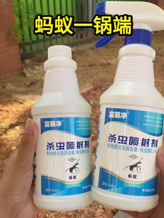 #灭蚂蚁