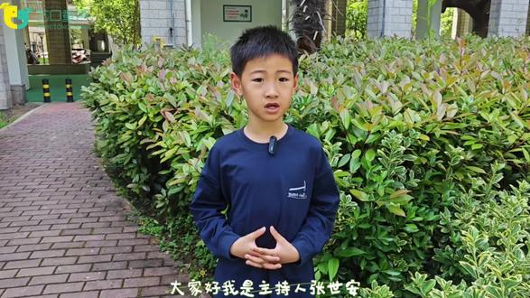 小主持人又来啦~#风筝手工绘画