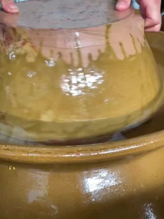 万物皆可爱,泡菜一直卖。#泡菜