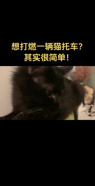 #小猫 如何打燃一辆猫托车?