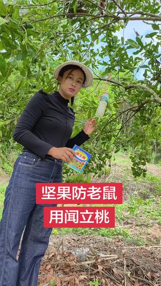 坚果防鼠药到货#德裕农科