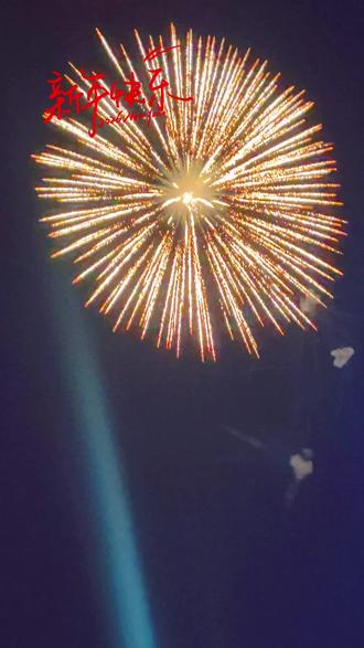 烟花虽短,但那一刻的快乐,足以抵御漫长岁月。把这份快乐与屏幕前的你分享!#烟花 #新年快乐