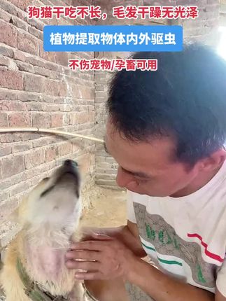 #日常分享 #养狗经验分享 #自用好物分享