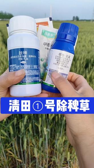 《清田①号》防除水稻田难除稗草马唐牛筋草千金子,三叶一心后用 #水稻种植 #水稻除草 #水稻除草剂 #除草剂 #吴平农资