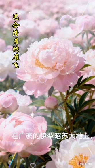 缅怀贺娇龙同志