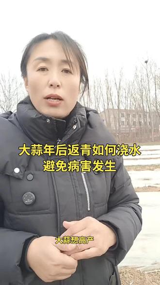 大蒜年后返青如何浇水避免病冲害#抖音农村人 #大蒜种植技术 #浇返青水#上热门