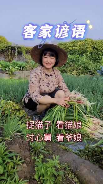 客家谚语#梅州#客家人#客家话#我的农村生活