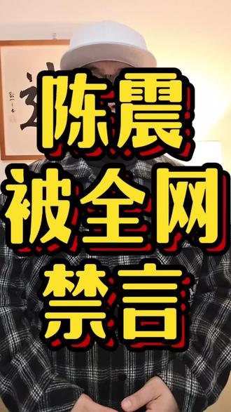 #陈震偷税被罚缴247.48万#陈震#小米