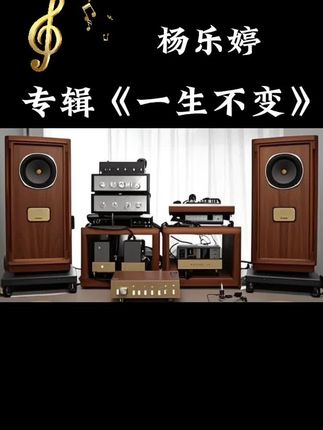 #今日推荐#发烧音乐#hifi#杨乐婷#逝去的诺言