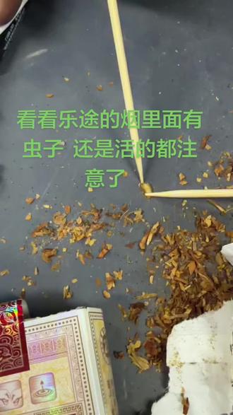 大家看看乐途的烟里面有虫子