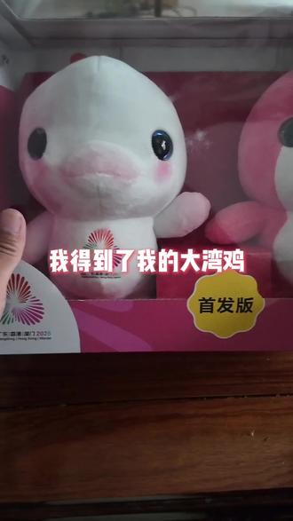 #大湾鸡 解读全运会含金量