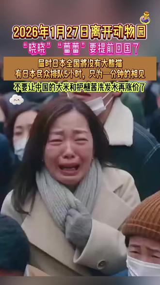 确认了!日本最后2只大熊猫回国#大熊猫