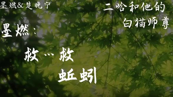 “我不想……后人说我们……师徒反目成仇” #二哈与他的白猫师尊