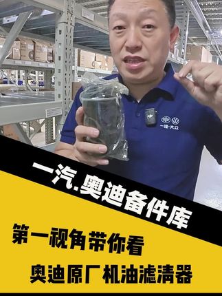 奥迪大众原厂备件#机油滤芯