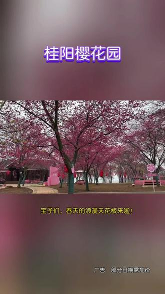 春天的约会!导航桂阳县农科所樱花园!#樱桃派对 #赏樱花 #爱旅行爱摄影 #樱花园 #湖南樱花