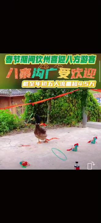 🎉春节出游去哪儿?钦州八寨沟太火啦!🔥截至年初五人流量超级棒,我外生女带我们去八寨沟打卡她人美声甜😁邦她上热门,感谢平台感谢家人们的点赞👍🏻