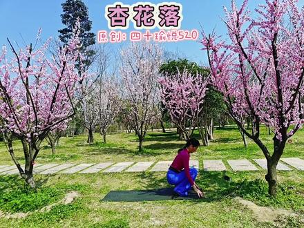 优秀的@@四十瑜悦520(音乐流瑜伽)老师原创音乐流瑜伽《杏花落》 春三月的杏花飘飘洒洒,是春天写给大地的情书。细雨纷飞,花瓣飘落,每一朵杏花都是一个浪漫的符号,诉说着春天的故事。