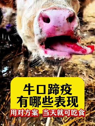 #养牛技术 #三农养殖 #科学养牛 #三农