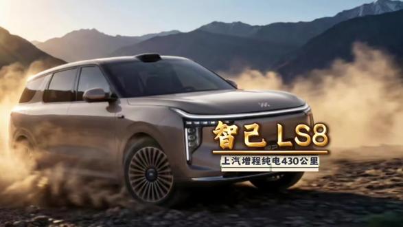 智己LS8,大五六座中型SUV,底盘用料不减配!#智己LS8