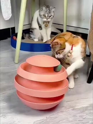 #转盘玩具 #自动逗猫器 #宠物解闷 #宠物解闷神器 #宠物解闷玩具