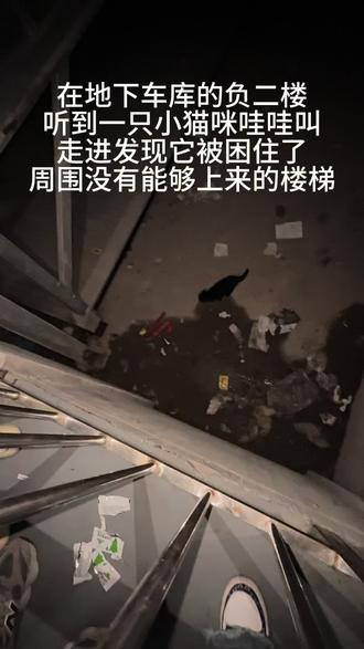 #救猫 #小男孩 无论多大,都可以成为英雄!
