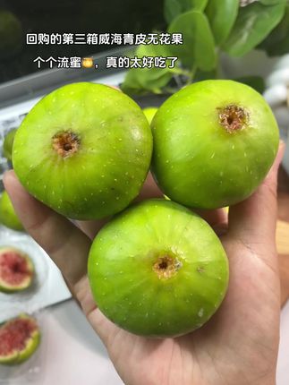 回购的第三箱威海青皮无花果!真的没有一次让我失望的,个个流蜜🍯,真的太好吃了#威海青皮无花果#无花果#谁懂这一口的好吃程度
