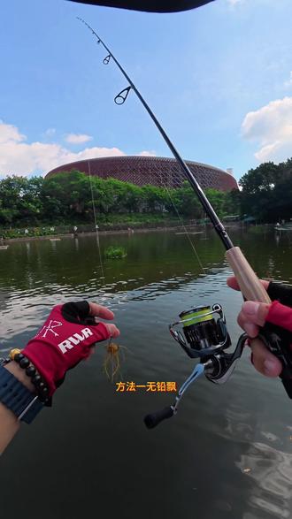 35度的高温天,别人打龟OSP骰子饵换了玩法狂拉几十条。#路亚 #原来钓鱼才是抖音运动顶流 #骰子饵 #osp版的lettinggo最释怀 #种草