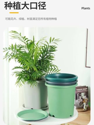环保四代漏水控根手工盆透气适合月季玫瑰阳台不烂根耐用种植花盆#养花小知识 #养花小技巧 #家庭养花 #强烈推荐 #家居好物