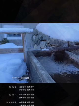 #兔