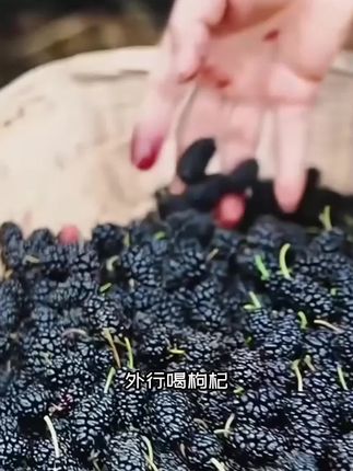 劲家庄"桑葚原浆"新品上市,618活动拍二送一,大家赶紧试试新品#劲家庄#何家劲#桑葚原浆#桑葚#真材实料才能做出好味道