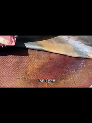 #vlog日常 #原创视频