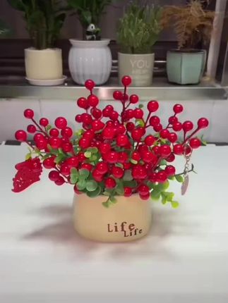 家里一定要放一盆红果,又叫发财果,寓意着财源滚滚,幸福美满。把它放在客厅里,不仅美观大气,而且特别喜庆,尤其是过年的时候,一定要摆上这么一盆,预示着新的一年红红火火,日子越过越甜。