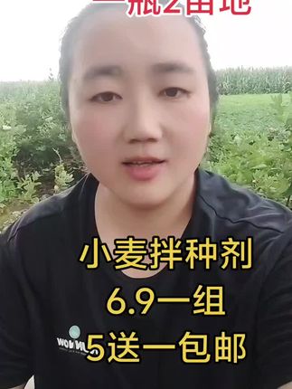 小麦种植小麦拌种剂三农农业#小麦种植#小麦拌种剂#三农#农业