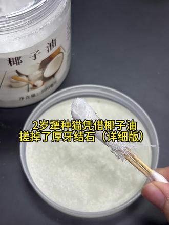 发明这样去猫猫结石的人真是天才#宠物 #小猫 #哈基咪 #亨利爸爸洁齿水