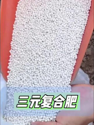 给大家推荐这个蔬菜专用#有机复合肥 ,它含有丰富的氮、磷、钾元素,能满足蔬菜整个生长周期的养分需求,而且它是通用的,不管种的是什么蔬菜都可以用它#三农种植 #蔬菜种植 #施肥 #三元复合肥