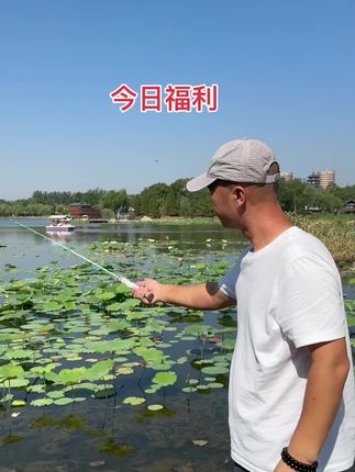 微物马口竿,今日福利,只要39#户外钓鱼 #微物路亚 #马口竿 #路亚滑漂 #微物竿