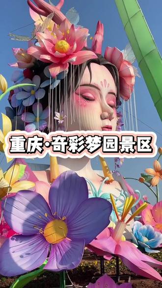 2026铜梁第十二届龙灯艺术节1月24号正式开启#铜梁龙灯艺术节 #总要去铜梁看趟灯会吧 #这也太漂亮了 #旅行推荐官