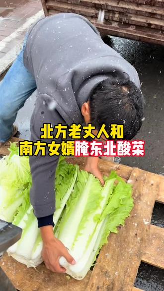 北方老丈人和南方女婿腌东北酸菜#你怎么看 #南北差异