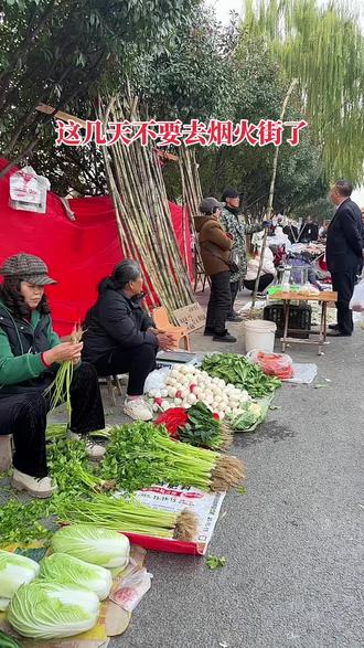 烟火街休市暂停几天,市民们不用去了#农村集市 #安乡烟火街#家乡记忆 #通知 #洋哥狠开心