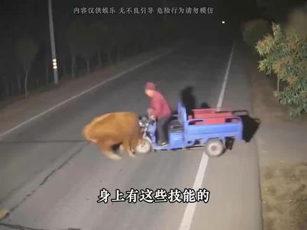 那么你是解锁了什么咕咕嘎嘎