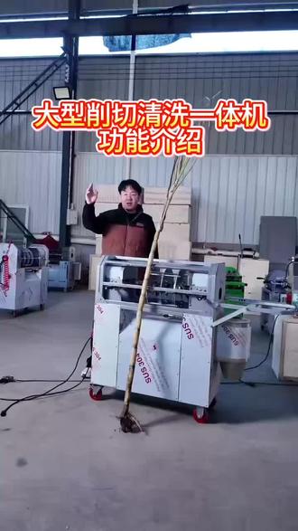 #甘蔗#甘蔗削皮#甘蔗削皮切段一体机 #甘蔗削皮切段清洗一体机