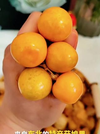 东北特产姑娘果,嘎嘣脆嘎嘎好吃。#东北特产。#新鲜应季水果#姑娘果#灯笼果