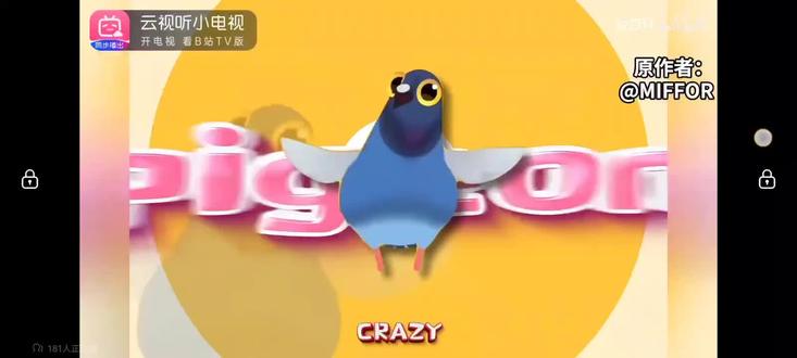 跳舞的鸽子由来